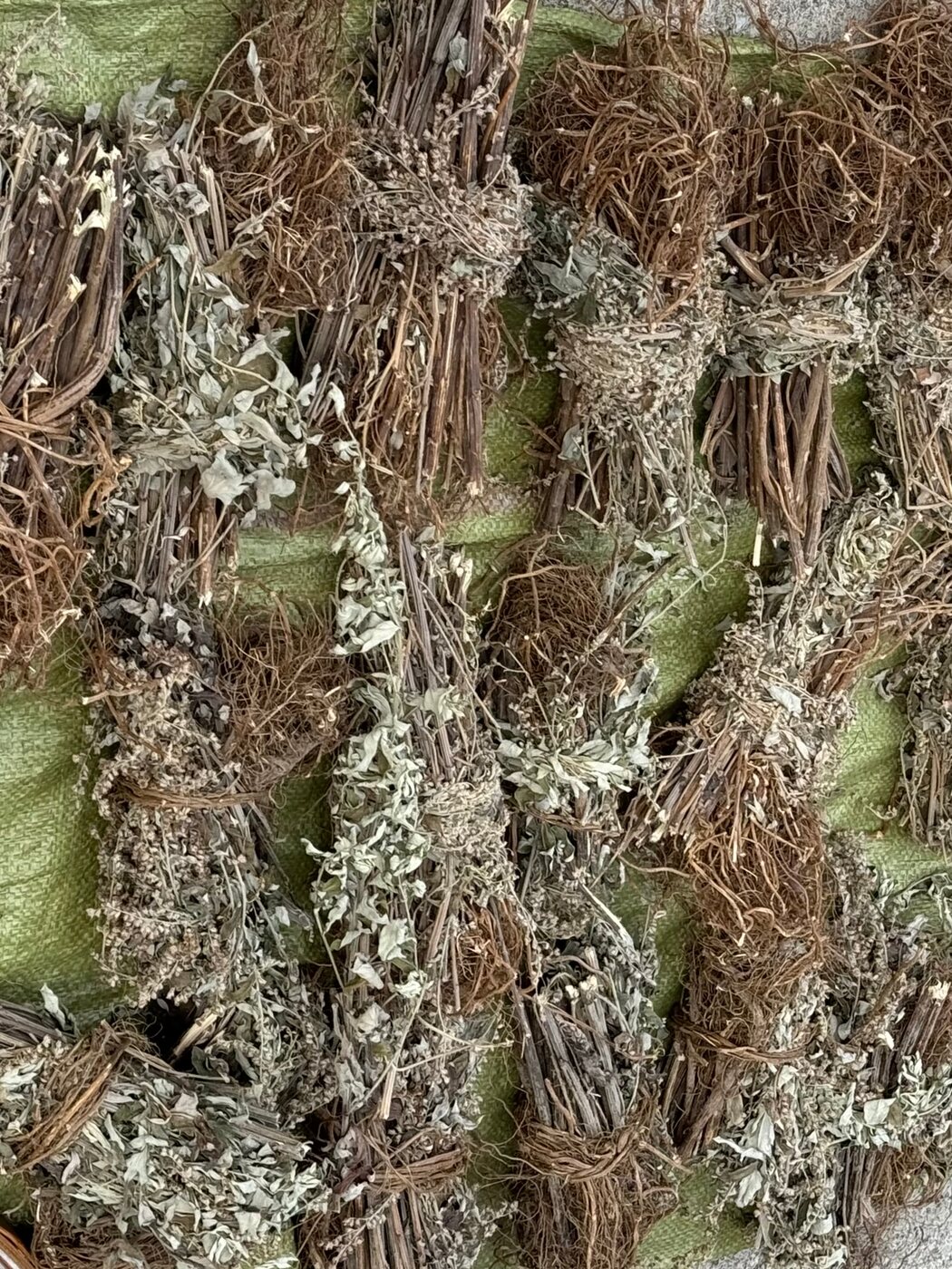 晒干的艾 Dried mugwort